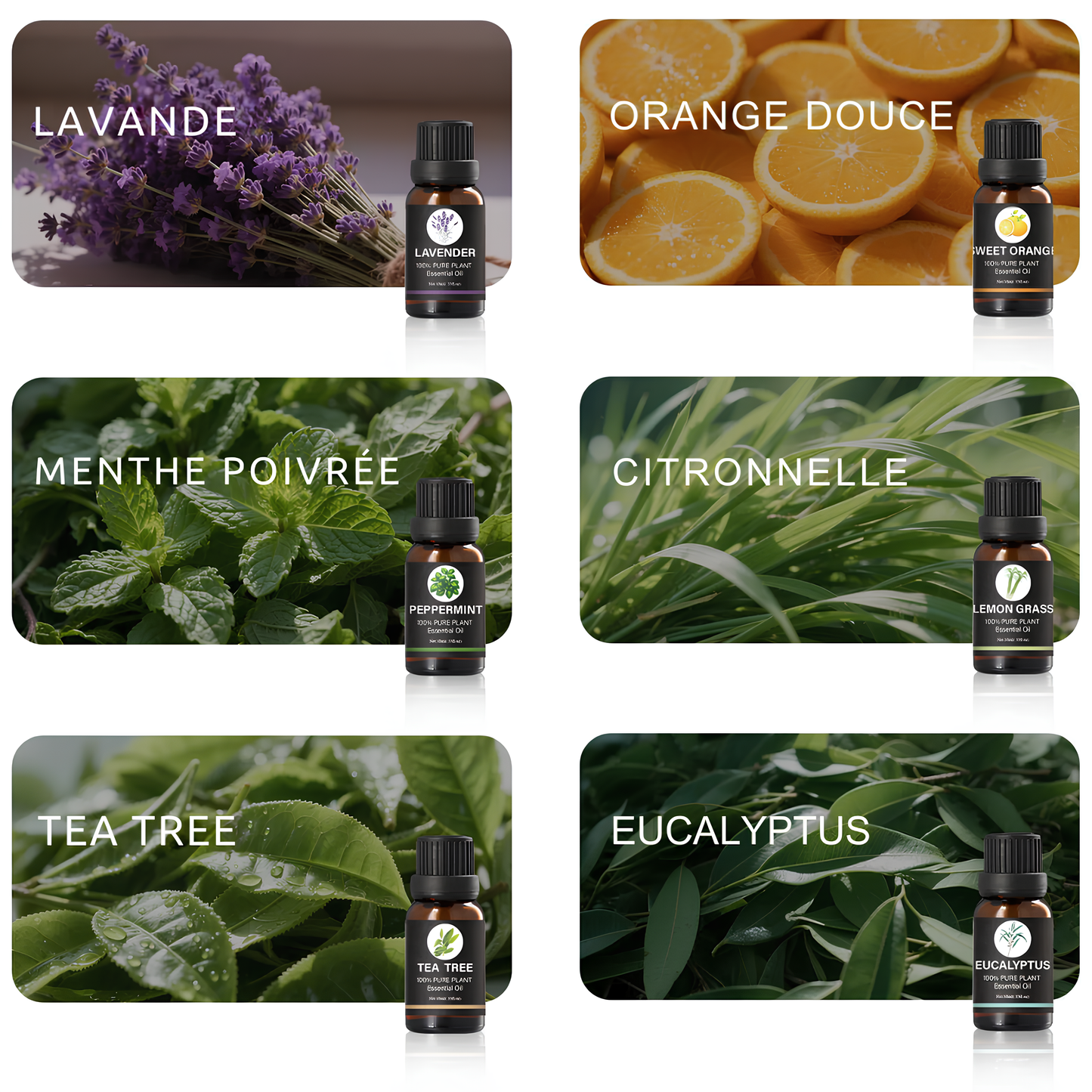 L'Essentiel du Bien-être