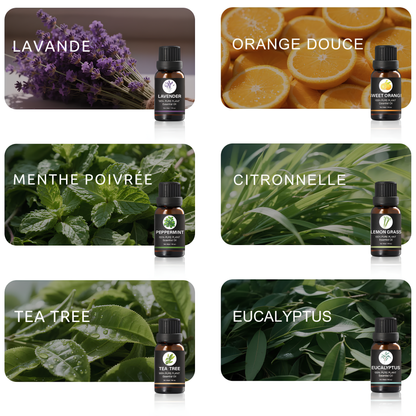 L'Essentiel du Bien-être